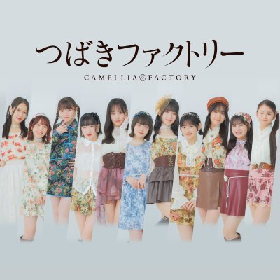 つばきファクトリー